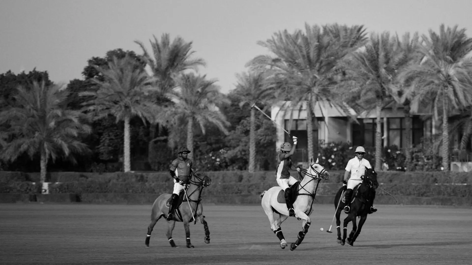 Melia Desert Palm Member Of Melia Collection Дубай ОАЭ