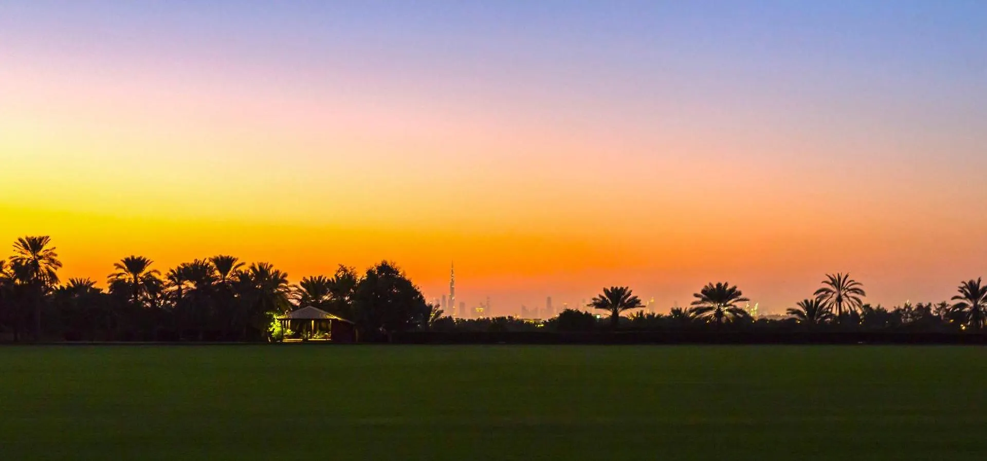 Melia Desert Palm Member Of Melia Collection Ντουμπάι Ξενοδοχείο