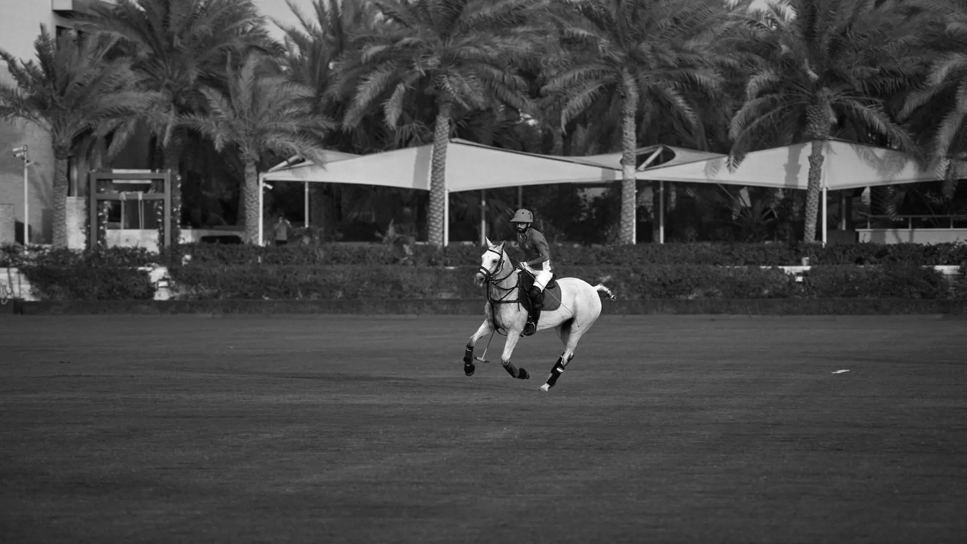 Melia Desert Palm Member Of Melia Collection Дубай
