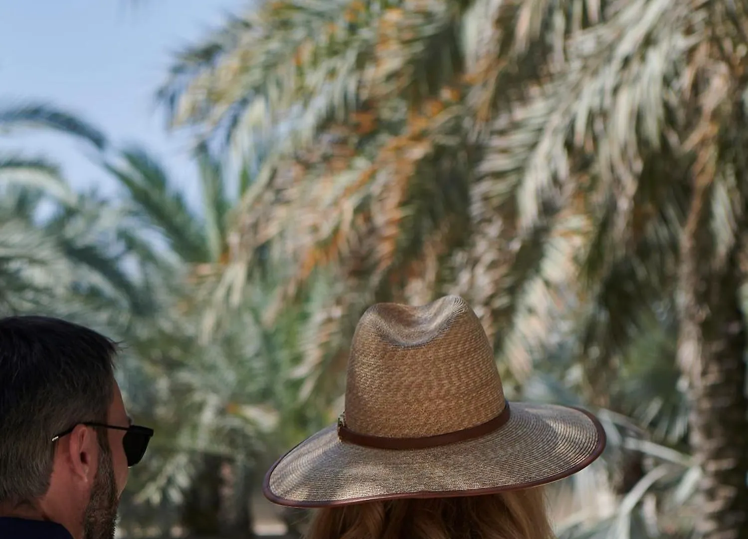 Melia Desert Palm Member Of Melia Collection Dubaï
