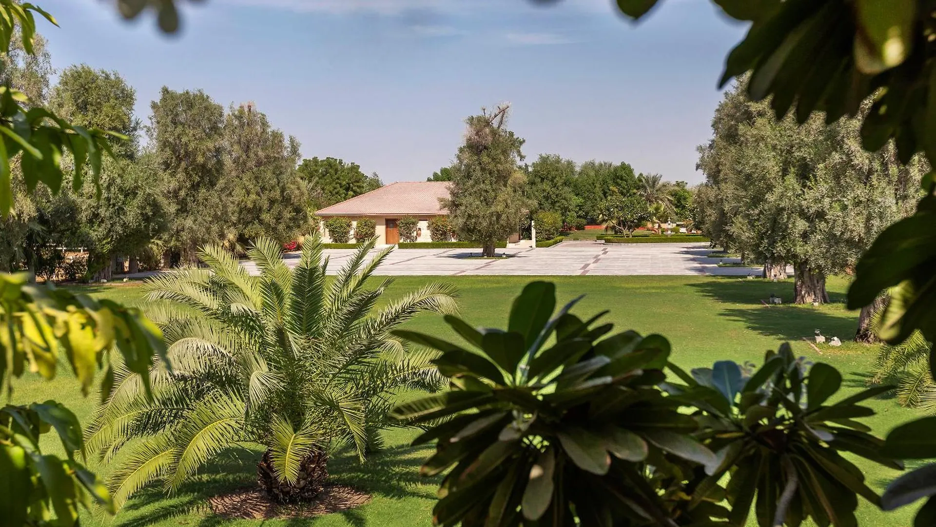 Melia Desert Palm Member Of Melia Collection Дубай